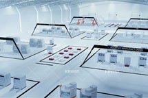 ���ֻ�������������